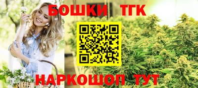 СК Дубна