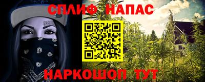 СК Дубна