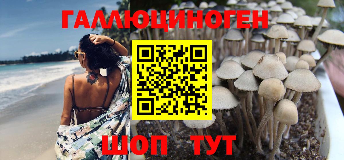 Псилоцибиновые грибы мухоморы Луховицы